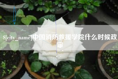 凤城中国消防救援学院什么时候政审