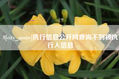 凤城执行信息公开网查询不到被执行人信息