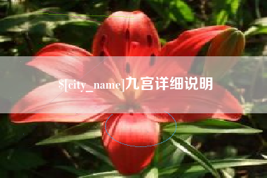 凤城九宫详细说明
