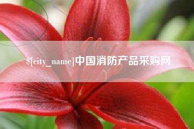 凤城中国消防产品采购网