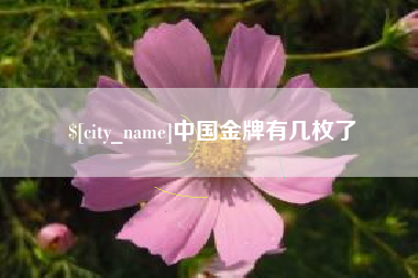 凤城中国金牌有几枚了