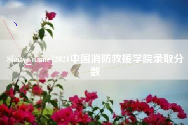 凤城2021中国消防救援学院录取分数