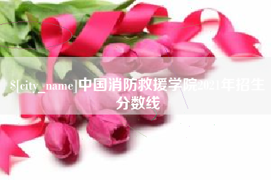 凤城中国消防救援学院2021年招生分数线
