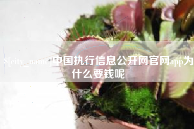 凤城中国执行信息公开网官网app为什么要钱呢