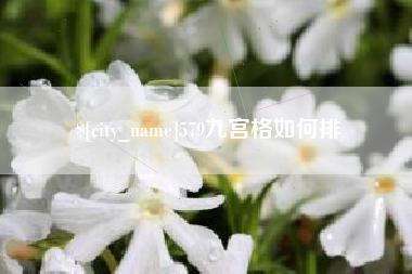凤城579九宫格如何排