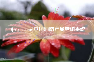 凤城中国消防产品查询系统