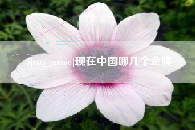 凤城现在中国哪几个金牌