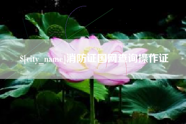 凤城消防证国网查询操作证