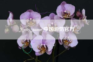凤城中国消防官方