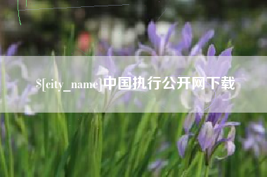 凤城中国执行公开网下载