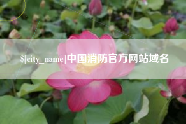 凤城中国消防官方网站域名