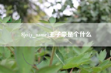 凤城王子豪是个什么