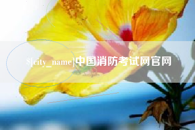 凤城中国消防考试网官网