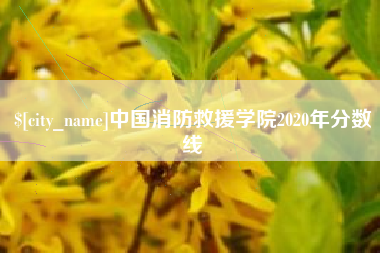 凤城中国消防救援学院2020年分数线