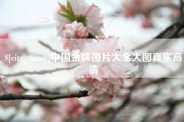 凤城中国金牌图片大全大图真实高清