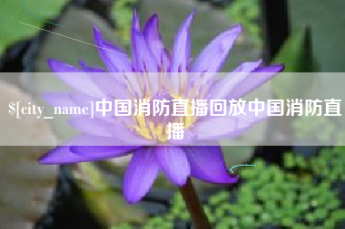 凤城中国消防直播回放中国消防直播