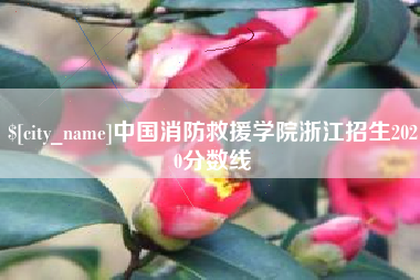 凤城中国消防救援学院浙江招生2020分数线