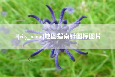凤城地图指南针图标图片
