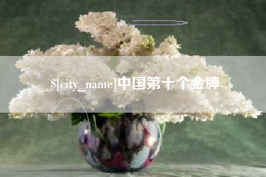 凤城中国第十个金牌