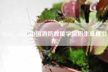 凤城中国消防救援学院招生章程公布!
