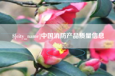 凤城中国消防产品质量信息