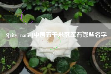 凤城中国五千米冠军有哪些名字