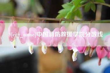 凤城中国消防救援学院分数线