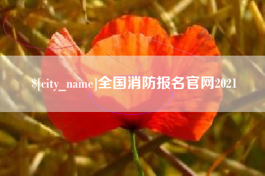 凤城全国消防报名官网2021
