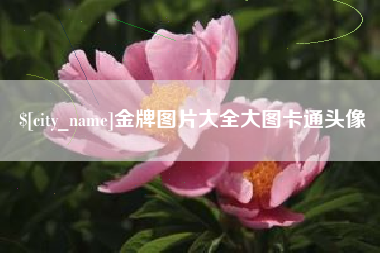 凤城金牌图片大全大图卡通头像
