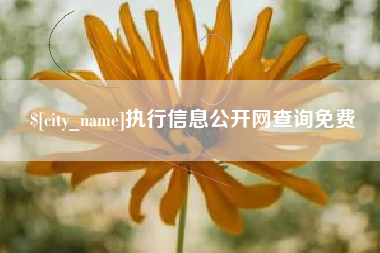 凤城执行信息公开网查询免费