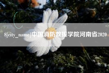 凤城中国消防救援学院河南省2020